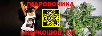 apvp Краснокаменск