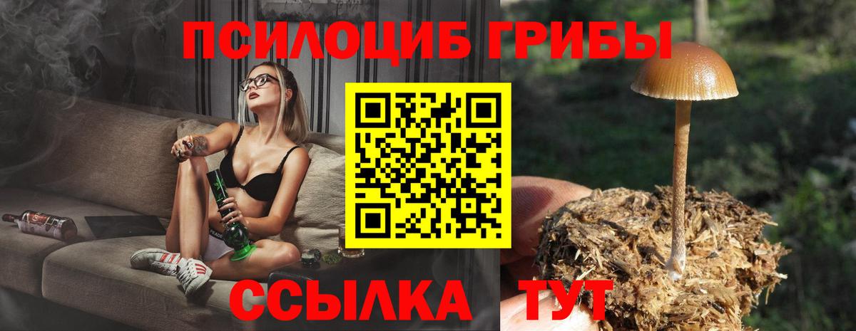 Псилоцибиновые грибы GOLDEN TEACHER Зеленогорск